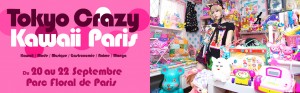 tokyo-crazy-kawaii_2013